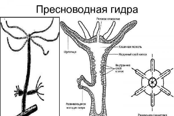 Ссылка на кракен kr2web in